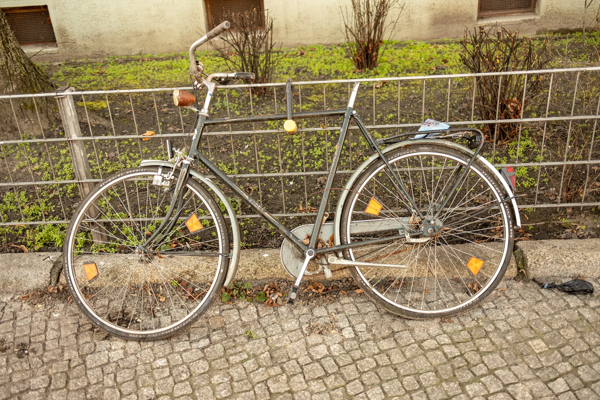 DSCF0439