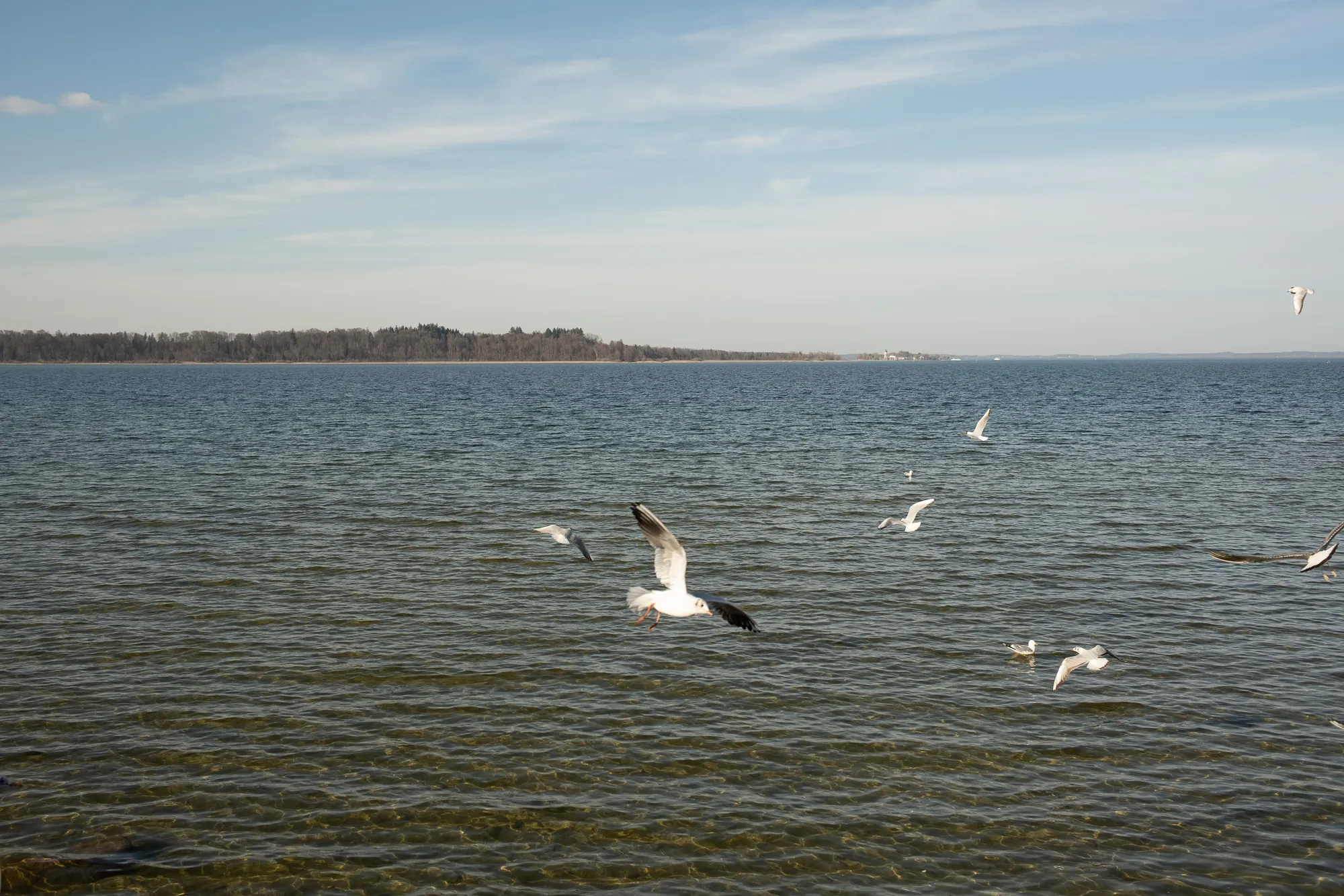 DSCF0733